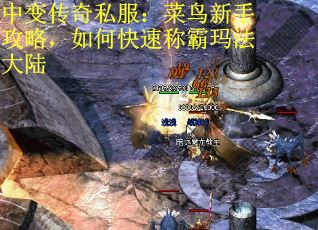 中变传奇私服：菜鸟新手攻略，如何快速称霸玛法大陆