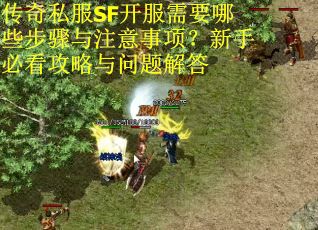 传奇私服SF开服需要哪些步骤与注意事项？新手必看攻略与问题解答