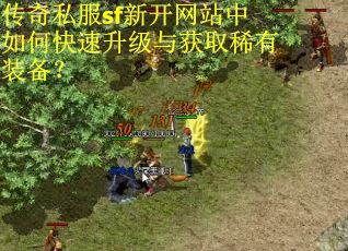 传奇私服sf新开网站中如何快速升级与获取稀有装备？