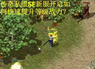 传奇私服SF新服开启如何快速提升等级战力？