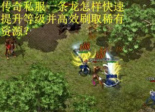 传奇私服一条龙怎样快速提升等级并高效刷取稀有资源？