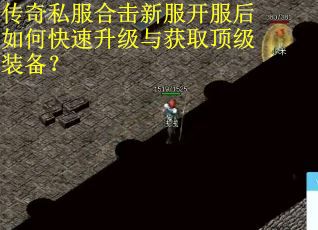 传奇私服合击新服开服后如何快速升级与获取顶级装备？