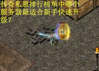 传奇私服排行榜单中哪个服务器最适合新手快速升级？