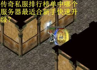 传奇私服排行榜单中哪个服务器最适合新手快速升级？
