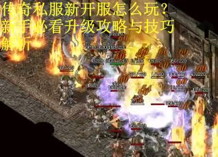 传奇私服新开服怎么玩？新手必看升级攻略与技巧解析