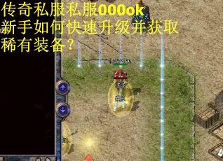 传奇私服私服000ok新手如何快速升级并获取稀有装备？