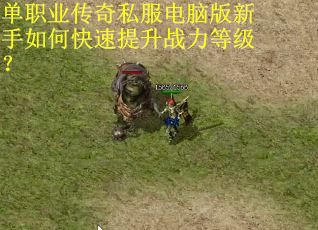 单职业传奇私服电脑版新手如何快速提升战力等级？