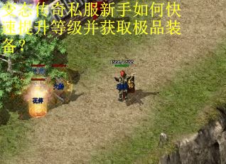 变态传奇私服新手如何快速提升等级并获取极品装备? 变态传奇私服新手如何快速提升等级并获取极品装备?