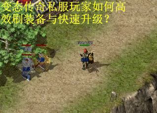 变态传奇私服玩家如何高效刷装备与快速升级？