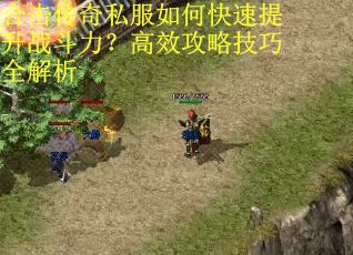 合击传奇私服如何快速提升战斗力?高效攻略技巧全解析 合击传奇私服如何快速提升战斗力?高效攻略技巧全解析