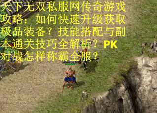 天下无双私服网传奇游戏攻略:如何快速升级获取极品装备?技能搭配与副本通关技巧全解析?PK对战怎样称霸全服? 天下无双私服网传奇游戏攻略:如何快速升级获取极品装备?技能搭配与副本通关技巧全解析?PK对战怎样称霸全服?