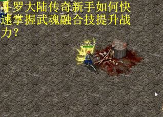 斗罗大陆传奇新手如何快速掌握武魂融合技提升战力? 斗罗大陆传奇新手如何快速掌握武魂融合技提升战力?