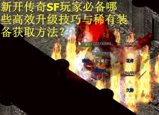 新开传奇SF玩家必备哪些高效升级技巧与稀有装备获取方法? 新开传奇SF玩家必备哪些高效升级技巧与稀有装备获取方法?