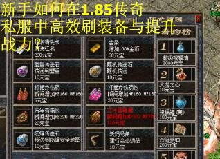 新手如何在1.85传奇私服中高效刷装备与提升战力？