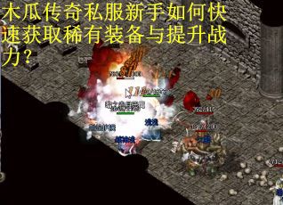 木瓜传奇私服新手如何快速获取稀有装备与提升战力? 木瓜传奇私服新手如何快速获取稀有装备与提升战力?