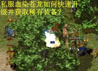 私服血染苍龙如何快速升级并获取稀有装备? 私服血染苍龙如何快速升级并获取稀有装备?