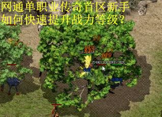 网通单职业传奇首区新手如何快速提升战力等级? 网通单职业传奇首区新手如何快速提升战力等级?