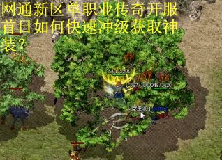 网通新区单职业传奇开服首日如何快速冲级获取神装? 网通新区单职业传奇开服首日如何快速冲级获取神装?