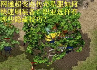 网通超变态传奇私服如何快速刷装备?职业选择有哪些隐藏技巧? 网通超变态传奇私服如何快速刷装备?职业选择有哪些隐藏技巧?