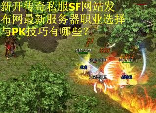 新开传奇私服SF网站发布网最新服务器职业选择与PK技巧有哪些？