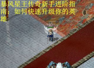 暴风星王传奇新手进阶指南：如何快速升级你的英雄