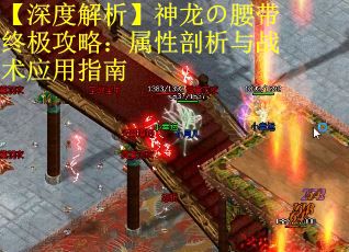 【深度解析】神龙の腰带终极攻略：属性剖析与战术应用指南