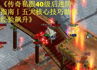 《传奇私服40级后进阶指南丨五大核心技巧助你经验飙升》