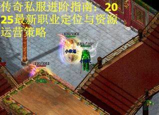 传奇私服进阶指南：2025最新职业定位与资源运营策略