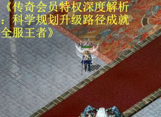 《传奇会员特权深度解析：科学规划升级路径成就全服王者》