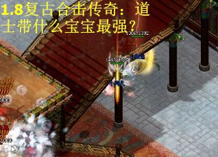 1.8复古合击传奇：道士带什么宝宝最强？