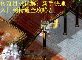 传奇目录详解：新手快速入门到精通全攻略？