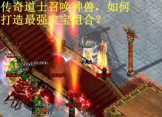 传奇道士召唤神兽，如何打造最强宝宝组合？