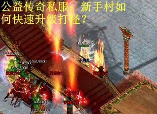 公益传奇私服：新手村如何快速升级打怪？
