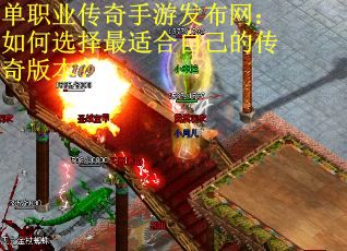 单职业传奇手游发布网：如何选择最适合自己的传奇版本？