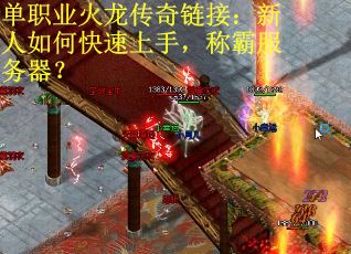 单职业火龙传奇链接：新人如何快速上手，称霸服务器？