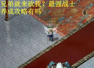 兄弟就来砍我？最强战士养成攻略有吗