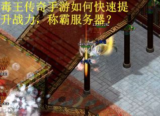 毒王传奇手游如何快速提升战力，称霸服务器？