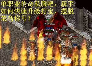 单职业传奇私服吧：新手如何快速升级打宝，摆脱菜鸟称号？