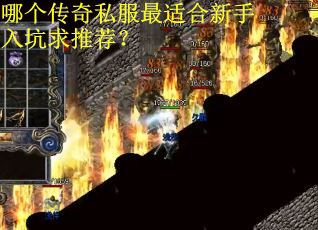 哪个传奇私服最适合新手入坑求推荐？