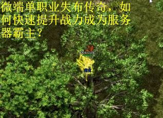 微端单职业失布传奇，如何快速提升战力成为服务器霸主？