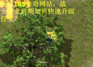 新开185传奇网站，战士职业前期如何快速升级打宝？