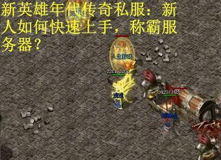 新英雄年代传奇私服：新人如何快速上手，称霸服务器？