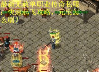 最新无赦单职业传奇私服：快速起飞攻略，元宝怎么刷？