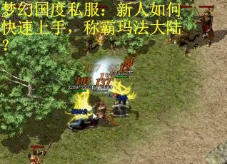 梦幻国度私服：新人如何快速上手，称霸玛法大陆？