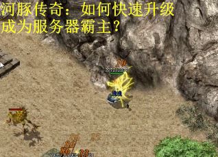 河豚传奇：如何快速升级成为服务器霸主？