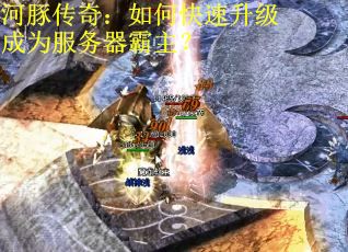 河豚传奇：如何快速升级成为服务器霸主？