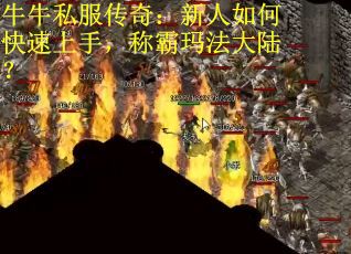 牛牛私服传奇：新人如何快速上手，称霸玛法大陆？