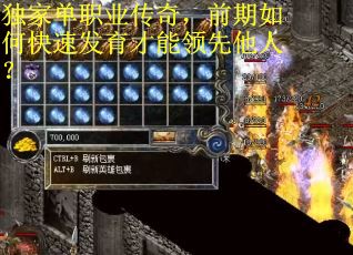 独家单职业传奇，前期如何快速发育才能领先他人？