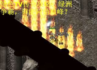 绿色TV传奇攻略：绿洲争霸，谁能问鼎巅峰？