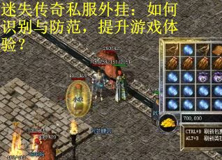 迷失传奇私服外挂：如何识别与防范，提升游戏体验？